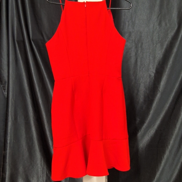 Greylin Red Halter Fit and Flare Mini Dress - Picture 6 of 10